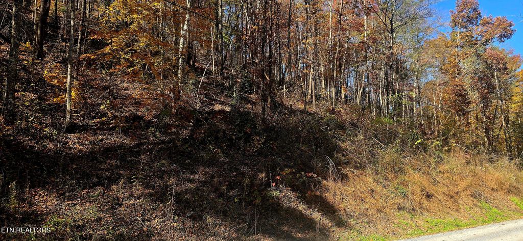 Photo of Emerald Springs Loop, Sevierville, TN 37862 (MLS # 1321204)