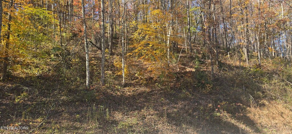 Photo of Emerald Springs Loop, Sevierville, TN 37862 (MLS # 1321204)