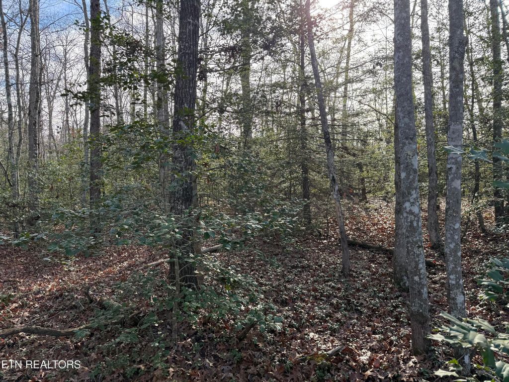 Photo of Walker Hollow Drive, Monterey, TN 38574 (MLS # 1324193)