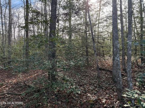 Photo of Walker Hollow Drive, Monterey, TN 38574 (MLS # 1324193)