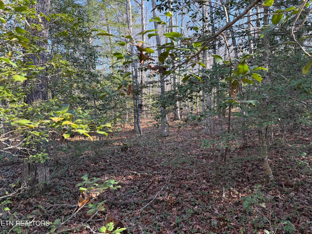 Photo of Walker Hollow Drive, Monterey, TN 38574 (MLS # 1324193)