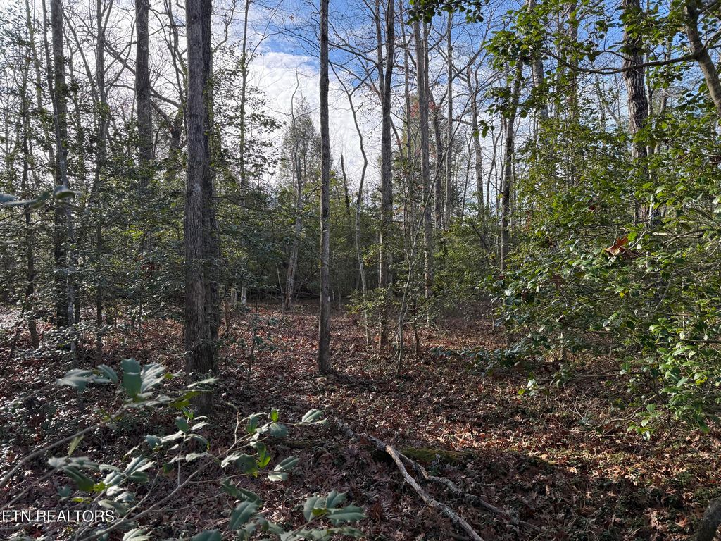 Photo of Walker Hollow Drive, Monterey, TN 38574 (MLS # 1324193)