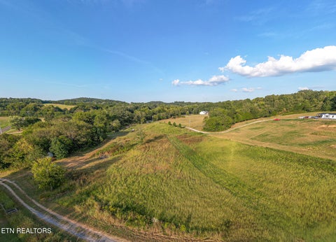 Tiny photo for Pleasant View Cemetery Rd, New Market, TN 37820 (MLS # 1355605)