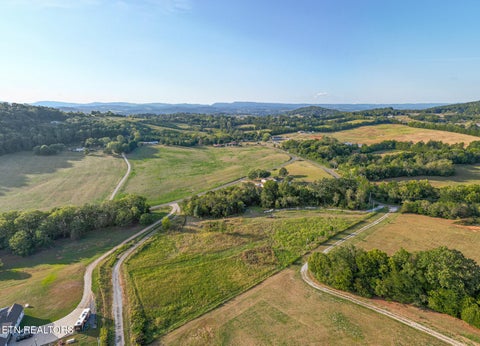 Tiny photo for Pleasant View Cemetery Rd, New Market, TN 37820 (MLS # 1355605)