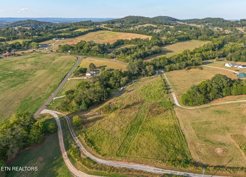 Tiny photo for Pleasant View Cemetery Rd, New Market, TN 37820 (MLS # 1355605)