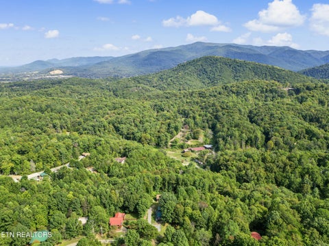 Tiny photo for 204 Great View Way, Newport, TN 37821 (MLS # 1357581)