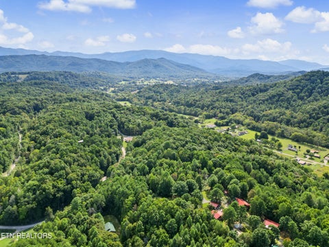 Tiny photo for 204 Great View Way, Newport, TN 37821 (MLS # 1357581)