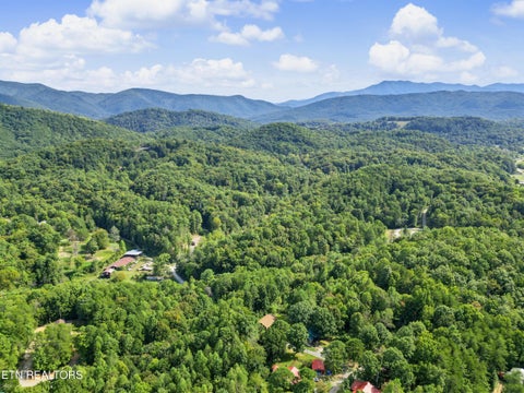 Tiny photo for 204 Great View Way, Newport, TN 37821 (MLS # 1357581)