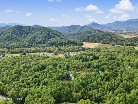 Tiny photo for 204 Great View Way, Newport, TN 37821 (MLS # 1357581)