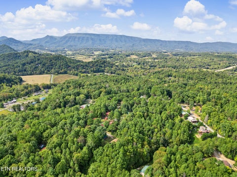 Tiny photo for 204 Great View Way, Newport, TN 37821 (MLS # 1357581)