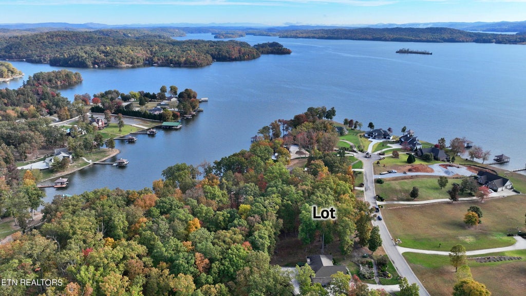 Photo of 495 Waterfront Way, Spring City, TN 37381 (MLS # 1244063)