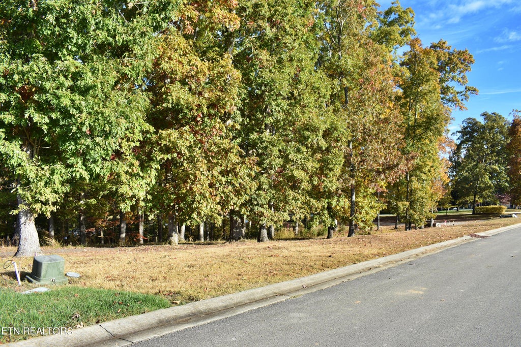 Photo of 495 Waterfront Way, Spring City, TN 37381 (MLS # 1244063)