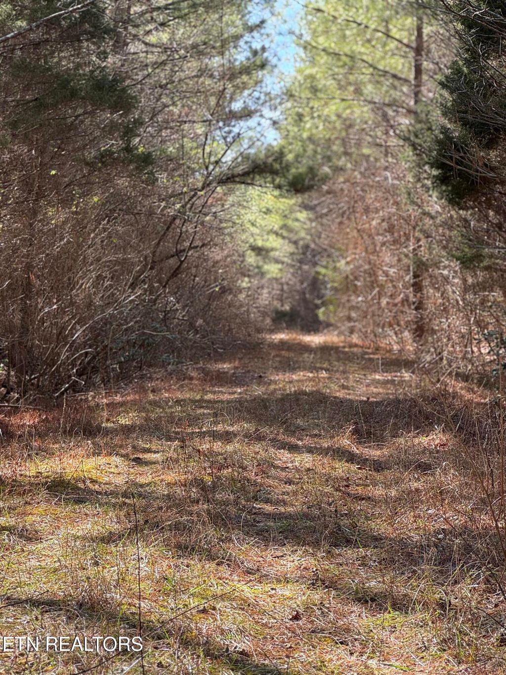 Photo of Sam Summers Rd, Rockwood, TN 37854 (MLS # 1320767)