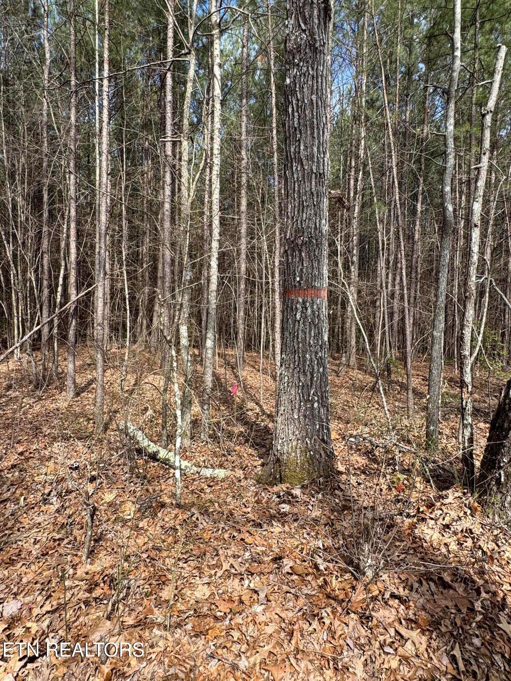 Photo of Sam Summers Rd, Rockwood, TN 37854 (MLS # 1320767)