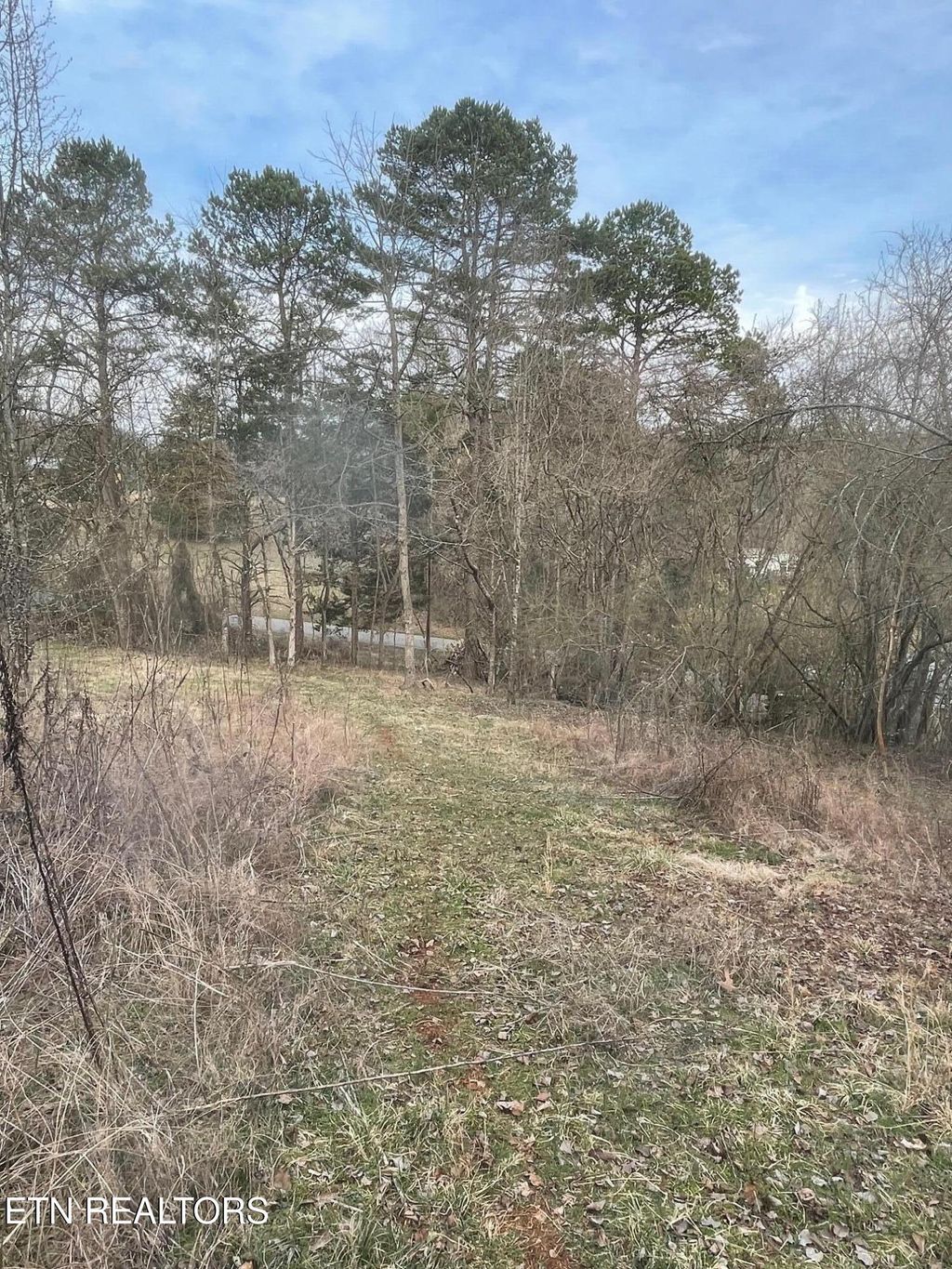 Photo of 135 Morris Lane, Kingston, TN 37763 (MLS # 1293060)