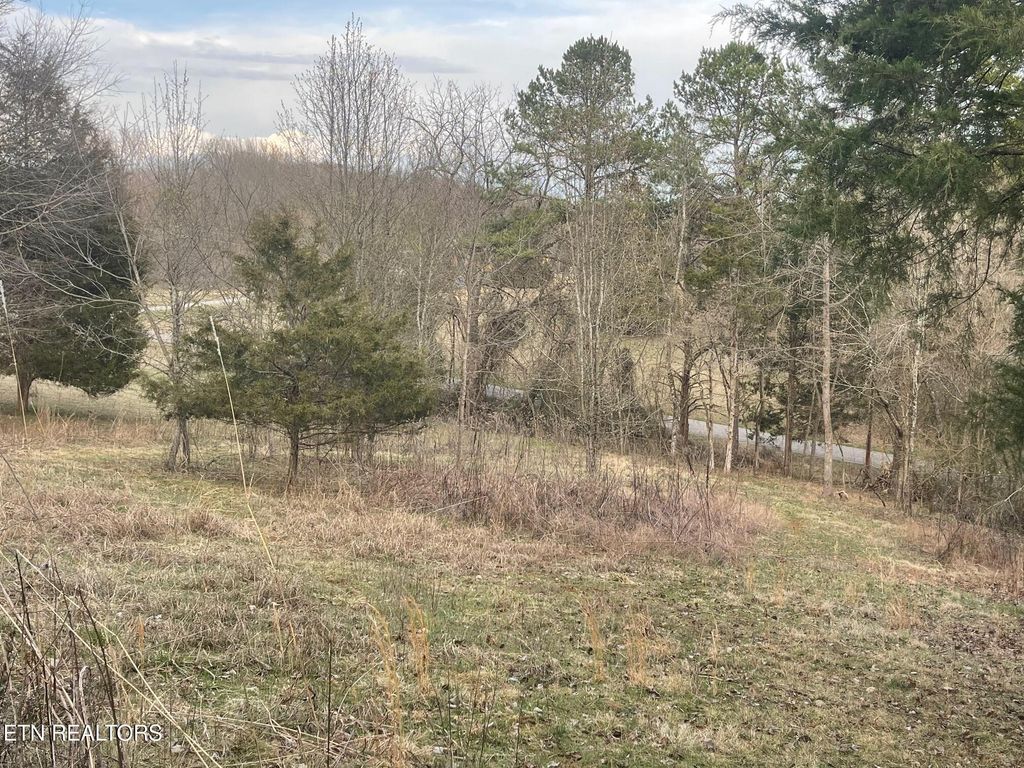 Photo of 135 Morris Lane, Kingston, TN 37763 (MLS # 1293060)