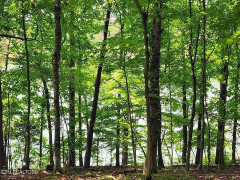 Tiny photo for 128 Hart Orchard Rd, Kingston, TN 37763 (MLS # 1338622)