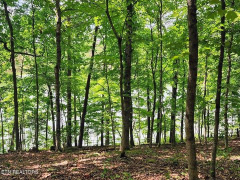 Tiny photo for 128 Hart Orchard Rd, Kingston, TN 37763 (MLS # 1338622)