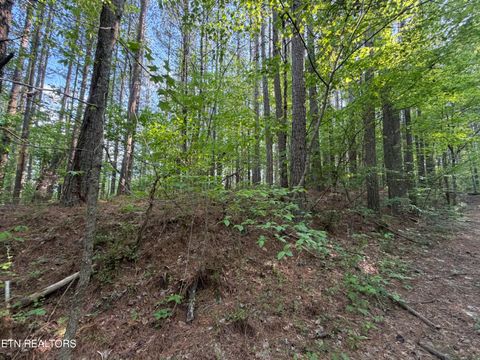 Tiny photo for 3 Three Point Rd, Vonore, TN 37885 (MLS # 1338321)