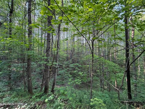 Tiny photo for 3 Three Point Rd, Vonore, TN 37885 (MLS # 1338321)