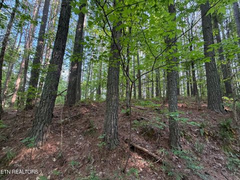 Tiny photo for 3 Three Point Rd, Vonore, TN 37885 (MLS # 1338321)