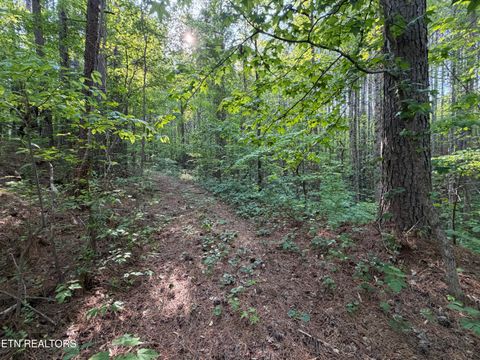Tiny photo for 3 Three Point Rd, Vonore, TN 37885 (MLS # 1338321)