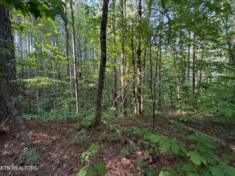 Tiny photo for 3 Three Point Rd, Vonore, TN 37885 (MLS # 1338321)