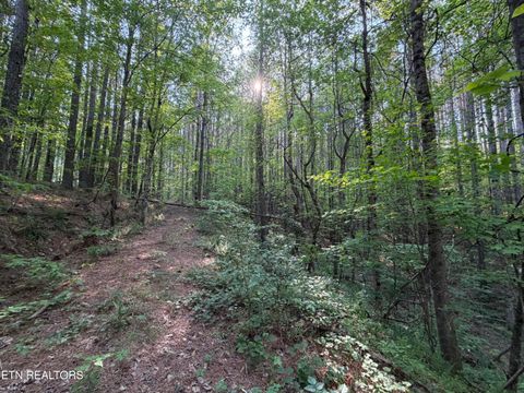 Tiny photo for 3 Three Point Rd, Vonore, TN 37885 (MLS # 1338321)