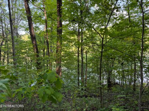 Tiny photo for 3 Three Point Rd, Vonore, TN 37885 (MLS # 1338321)