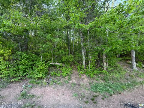 Tiny photo for 3 Three Point Rd, Vonore, TN 37885 (MLS # 1338321)