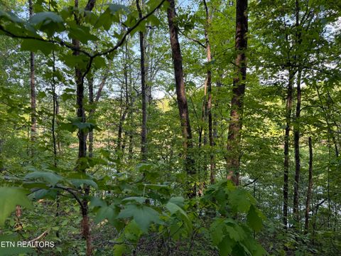 Tiny photo for 3 Three Point Rd, Vonore, TN 37885 (MLS # 1338321)