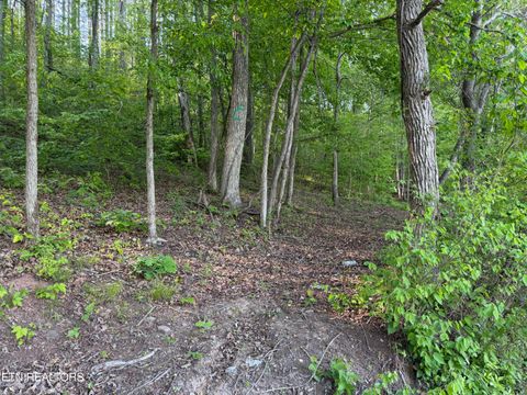 Tiny photo for 3 Three Point Rd, Vonore, TN 37885 (MLS # 1338321)
