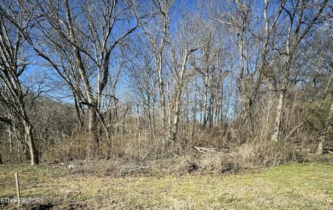 Photo of 0 County Road 890, Etowah, TN 37331 (MLS # 1325654)