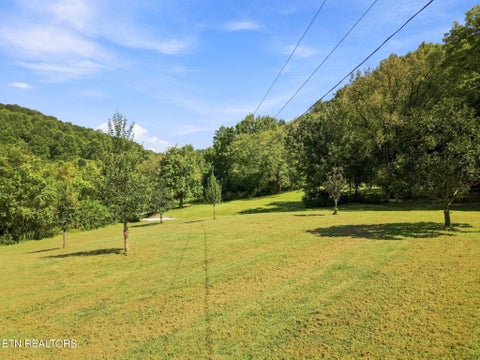 Tiny photo for 59 Russell Lane, Pleasant Shade, TN 37145 (MLS # 1354950)