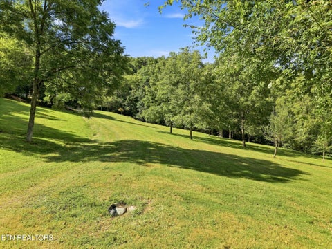 Tiny photo for 59 Russell Lane, Pleasant Shade, TN 37145 (MLS # 1354950)
