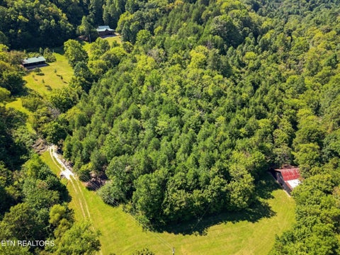 Tiny photo for 59 Russell Lane, Pleasant Shade, TN 37145 (MLS # 1354950)