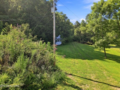 Tiny photo for 59 Russell Lane, Pleasant Shade, TN 37145 (MLS # 1354950)