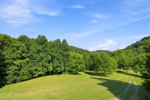 Tiny photo for 59 Russell Lane, Pleasant Shade, TN 37145 (MLS # 1354950)