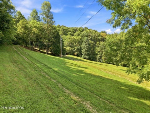 Tiny photo for 59 Russell Lane, Pleasant Shade, TN 37145 (MLS # 1354950)