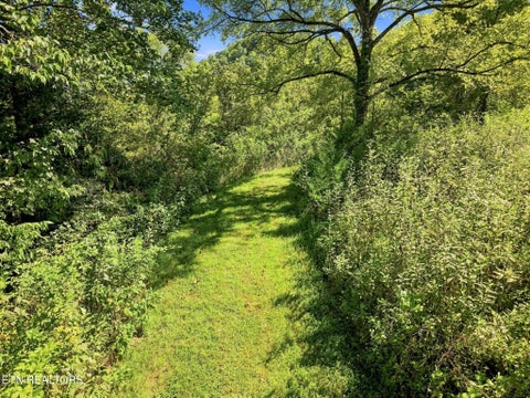 Tiny photo for 59 Russell Lane, Pleasant Shade, TN 37145 (MLS # 1354950)