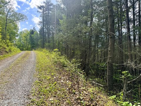 Montevallo Rd Sevierville TN 37876