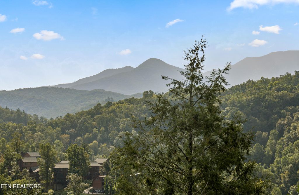 Photo of 820 Resort Way, Gatlinburg, TN 37738 (MLS # 1314736)