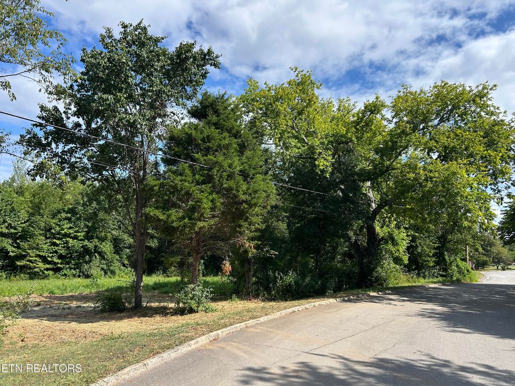 Photo of 0 N Linden Drive, Alcoa, TN 37701 (MLS # 1308986)