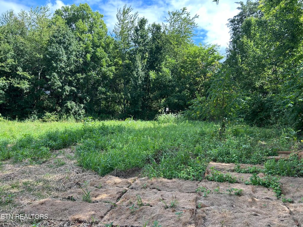 Photo of 0 N Linden Drive, Alcoa, TN 37701 (MLS # 1308986)