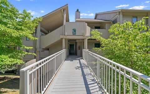 Photo of 3710 Weber Rd #C203, Gatlinburg, TN 37738 (MLS # 1319976)