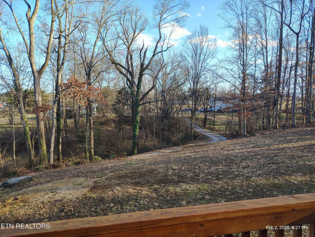 Photo of 142 Terry Way, Friendsville, TN 37737 (MLS # 1288867)