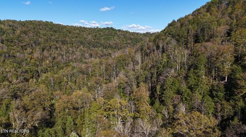 Tiny photo for 500 Armstrong Lane, Monterey, TN 38574 (MLS # 1317767)