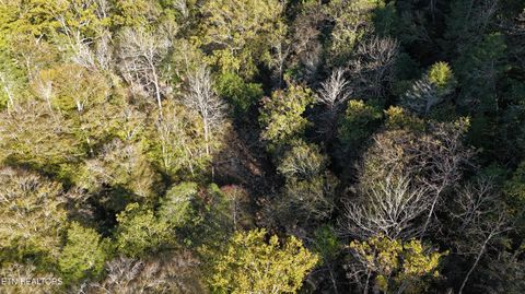 Tiny photo for 500 Armstrong Lane, Monterey, TN 38574 (MLS # 1317767)