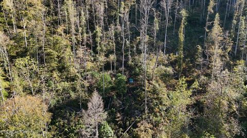 Tiny photo for 500 Armstrong Lane, Monterey, TN 38574 (MLS # 1317767)