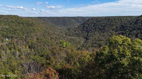 Tiny photo for 500 Armstrong Lane, Monterey, TN 38574 (MLS # 1317767)